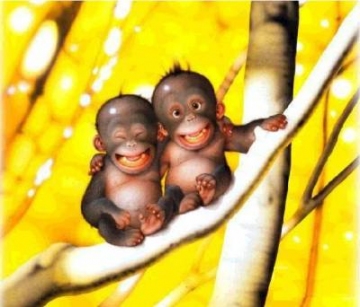 singe